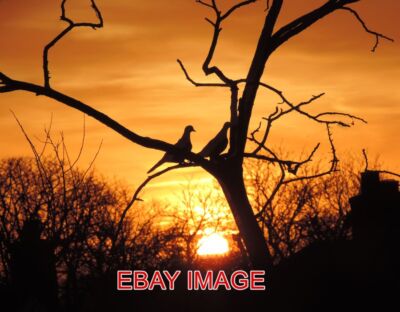 FOTO LEBENDIGER SONNENAUFGANG WIR BEKOMMEN GERADE BEEINDRUCKENDE SONNENAUFGÄNGE IN MIR