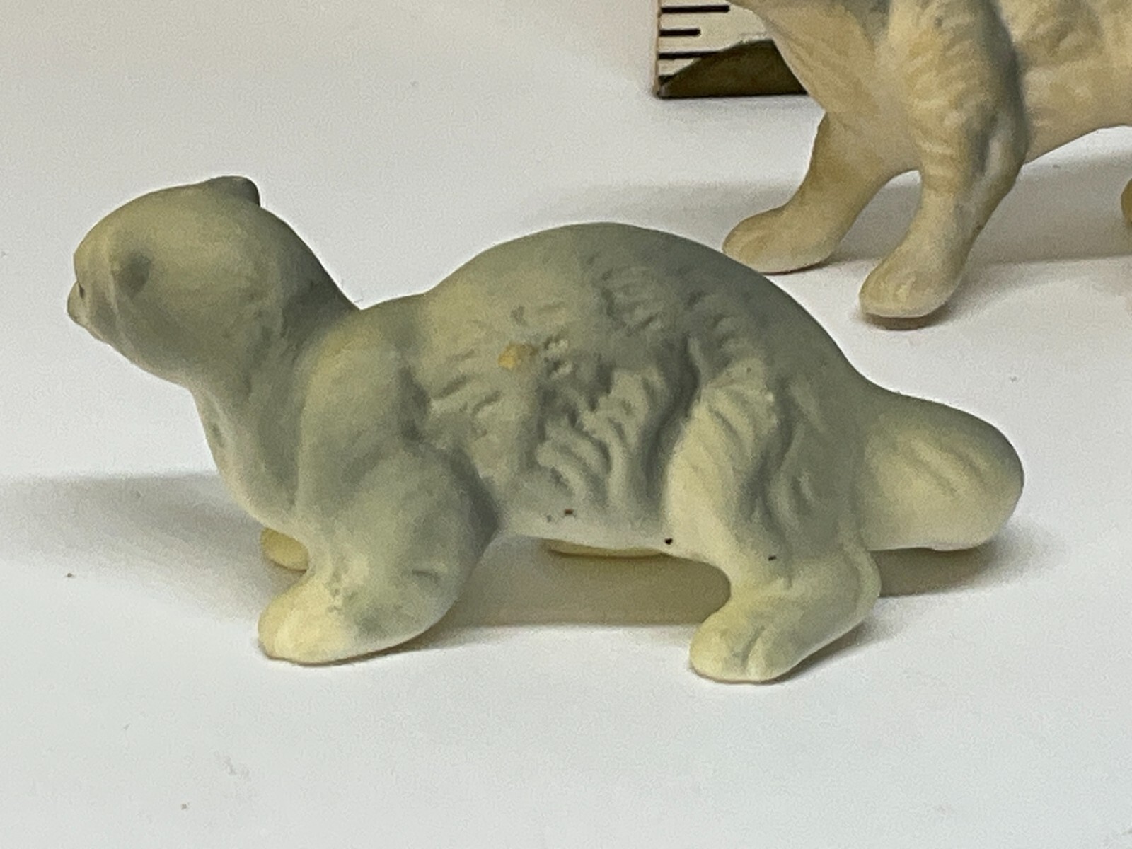 Picture 6 of 13
