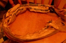 NOS 1980 GMC Chevrolet Diesel Truck Automatic Transmission Detent Cable