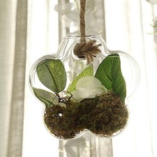 3 CLEAR FLOWER Glass Wall Terrariums Vases Home Wedding Events  Centerpieces