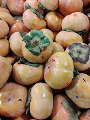 Fresh Fuyu Persimmons | Natural | Shibing | Hoshigaki | Fruit