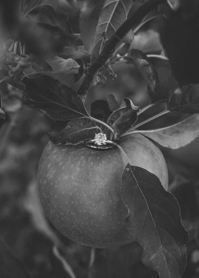 Kay Jewelers Lab Created engagement ring 1.54 carat solitaire - Image 4 of 4