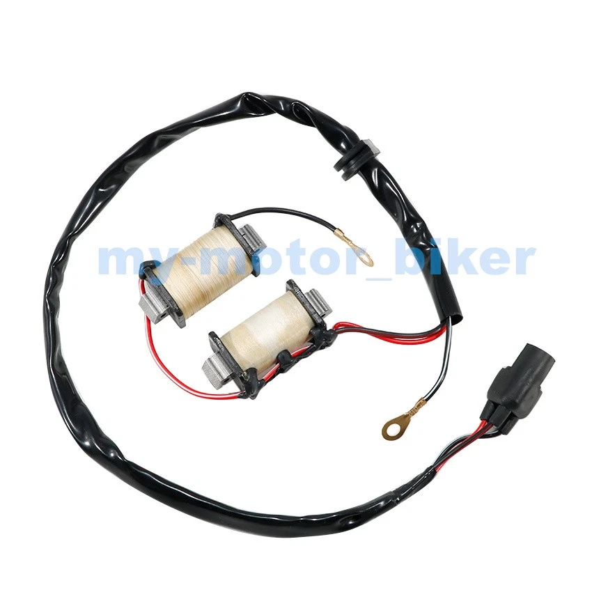 Bobina de estator generador Magneto para Suzuki RM80 1985-01/RM80S 1987-95 32101-02B31 Foto 3 de 4