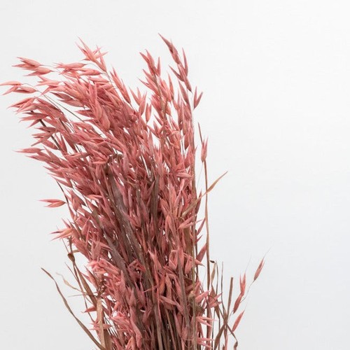 Getrockneter Hafer in pink, Bund 60cm - Bild 2 von 3