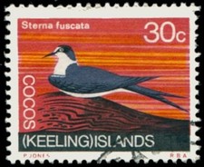 Cocos Keeling Islands 1969 30c Sooty Tern Bird XFU - SG 17