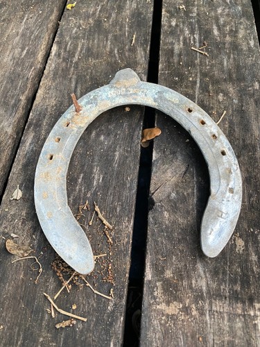 Herradura de Caballo (1 Piesa) Aluminio Horse Shoes Santeria Suerte Adorno - Picture 2 of 3