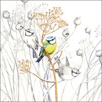 20 Papierservietten, Servietten Sweet Little Bird Ambiente 33X33Cm | VöGel