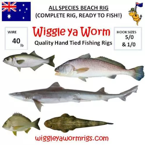 ALL Species Complete, ready to fish Beach Fishing Rig, Tailor, Mulloway, Snapper