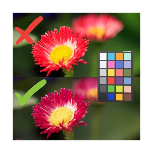 Datacolor SpyderX Photo Kit: Compact Tool Set for Precise Color Management - ... - Picture 7 of 7