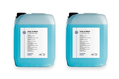 Scheibenklar Scheibenfrostschutz Frostschutz Winter 2x je 5 Liter Original VW 
