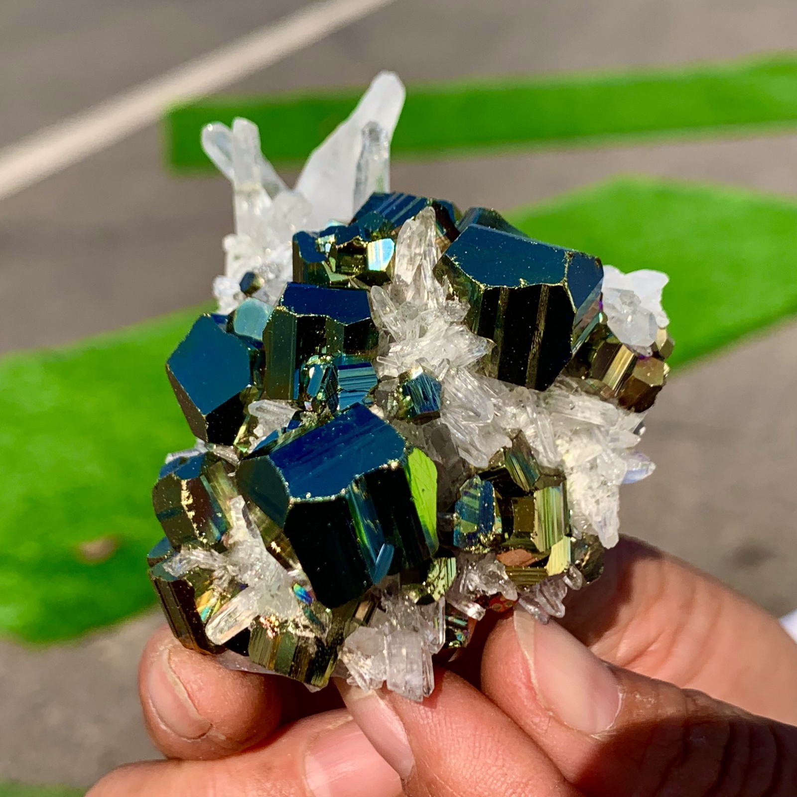 133G Natural colorful chalcopyrite clear Cluster coexisting crystal mineral