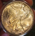 1986 Silver American Eagle (BU), Toned on both sides 5288-1