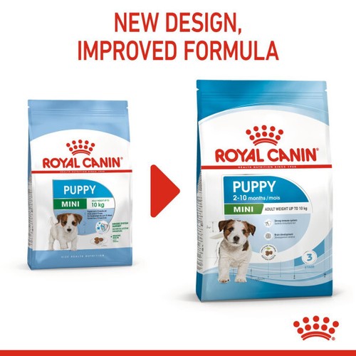 Royal Canin Mini Junior 33 Complete Dry Dog Food 800g NOW PUPPY - Picture 5 of 8