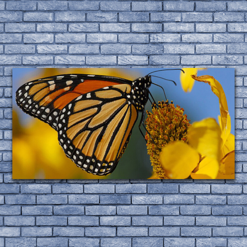 Tableau Plexiglas 140x70 Nature Fleur Papillon pour Murs Lumineux sans Reflet