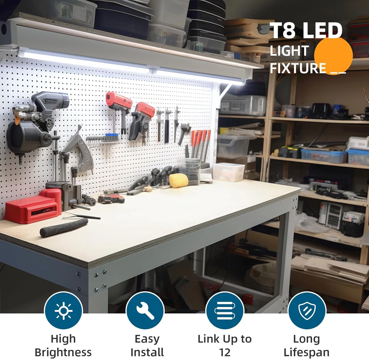 Barrina t8 sale led lights
