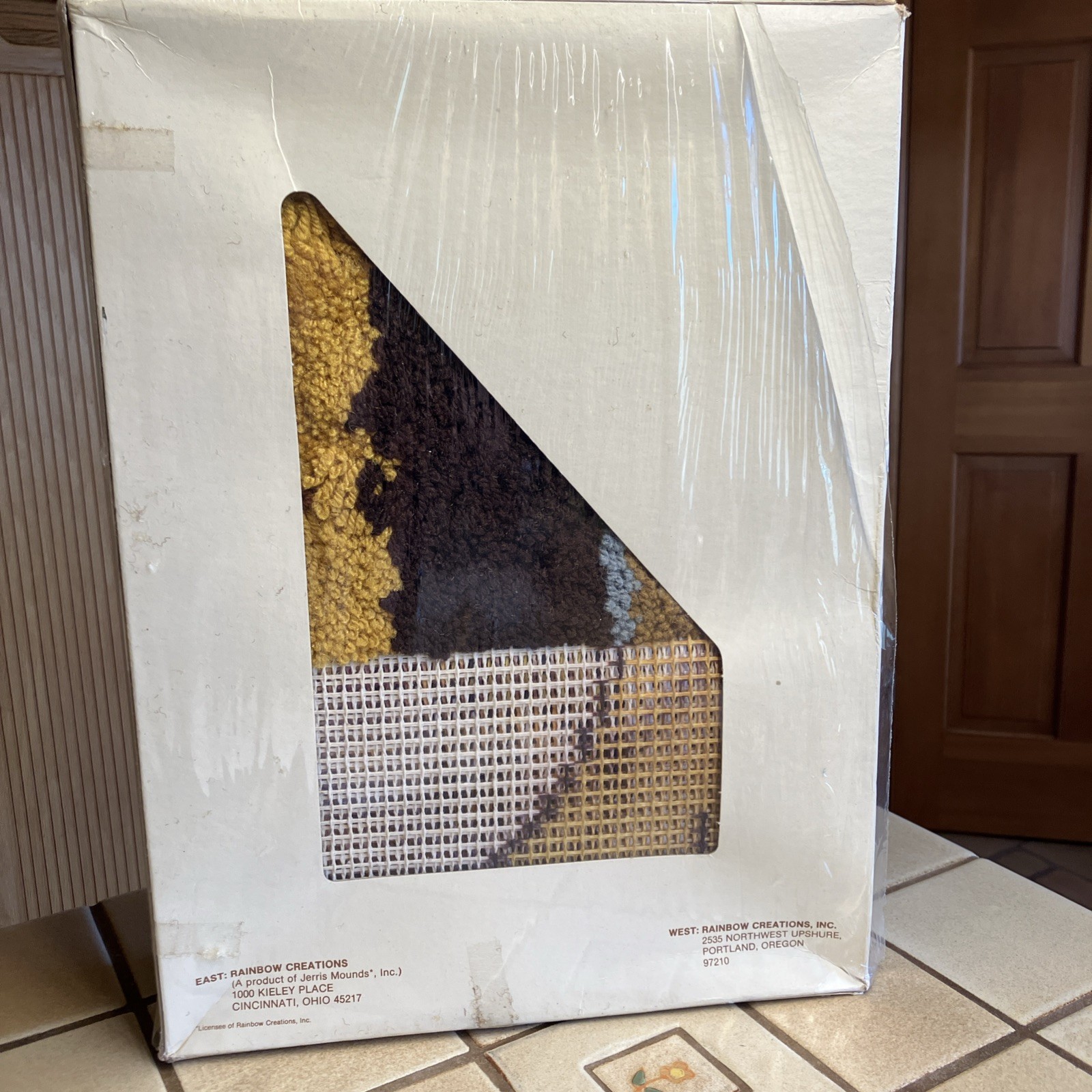 VINTAGE RAINBOW CREATIONS LATCH HOOK KIT "MUSHROOMS" 20" X 27" NEW  SEALED BOX