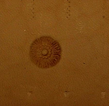 Tandy Leather CRAFTOOL  Stamping Tool  -  FLOWER CENTER  -  J815