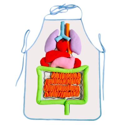 Apron with Body Model Organ model of child Apron