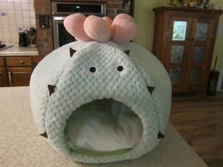 Plush Soft Green Pet Bed with soft Pillow