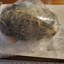 Steiff Joggi Hedgehog Igel 070821 Unopened