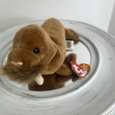 Ty Beanie Baby - PAUL the Brown Walrus