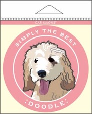Labradoodle Car Magnet 4x4" White/Brown