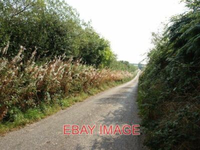 FOTO SCHMALE STRASSE MIT HOHEN BÄNKEN BEI BAMPFYLDE HILL 2014