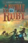 A Riddle in Ruby by Kent Davis (Paperback / softback, 2016)