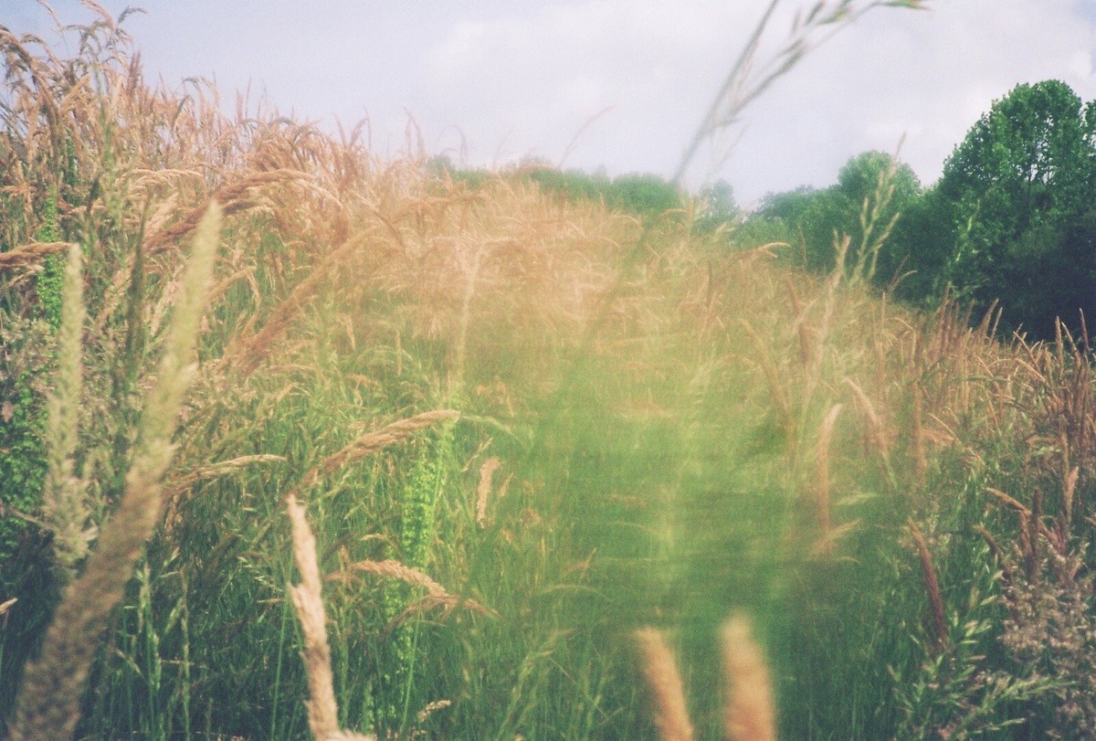 【超極上品】XA3 OLYMPUS Olympus XA3 35mm Point & Shoot Film Camera for sale online