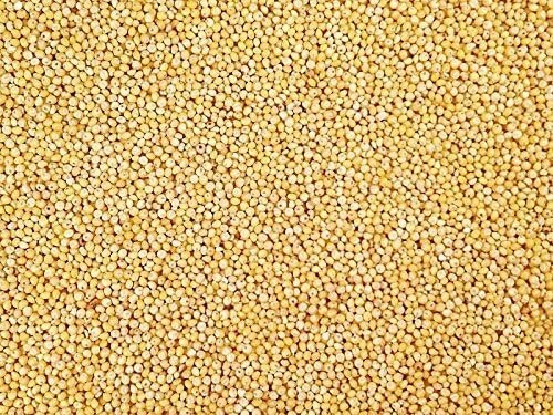 White millet bird seed 10lb wild bird food