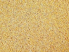White millet bird seed 5lb