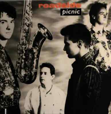 Roadside Picnic NEAR MINT Novus Vinyl LP