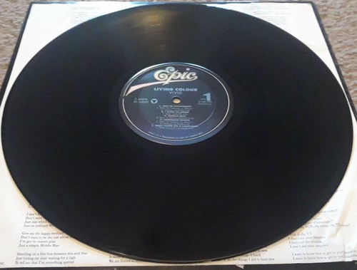 Living Colour: Vivid 1988 Epic Records OG Vinyl LP VG+/VG+ Vernon Reid FunkMetal - Picture 5 of 12