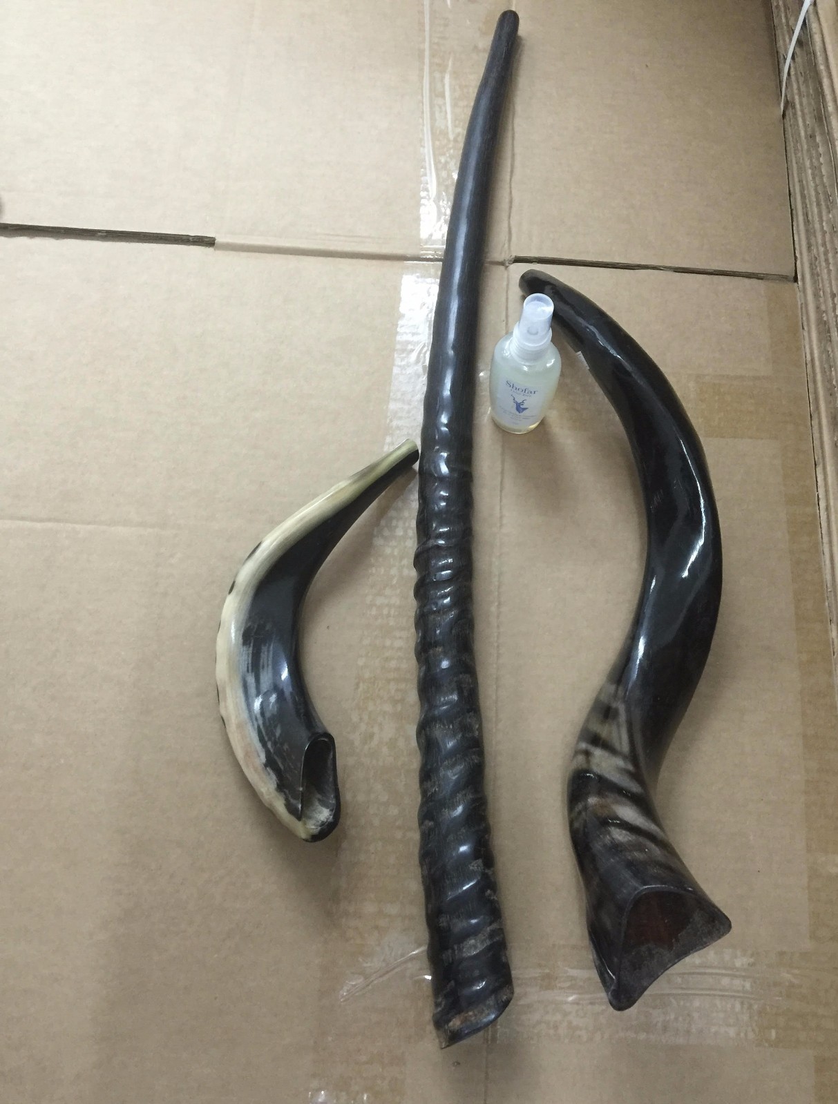 Set 3 shofars Kudu Yemenite Ram Gemsbok Oryx Horn Shofar Gift Odor