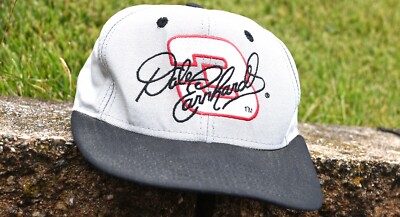 Vintage Dale Earnhardt 3 Snap Back Hat 