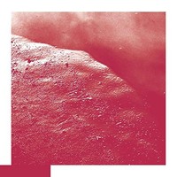 David Allred - Cell - Vinyl Record - G3Z