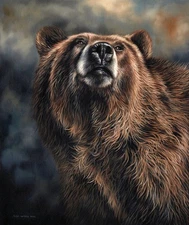 Brown Bear II by Sarah Stribbling Fine Art Print Nature Wildlife Safari 13x19