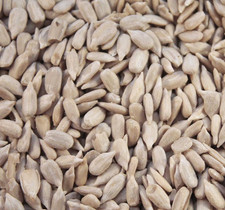 Sunflower Hearts For Wild Birds Feeding - Quality Bakery Grade 12.5 kg 2.14 per kilo