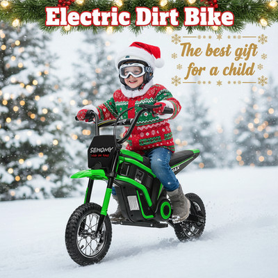 24V Electric Dirt Bike Off-Road Motorcycle For Kids 350W Motor Pneumatic Tire 