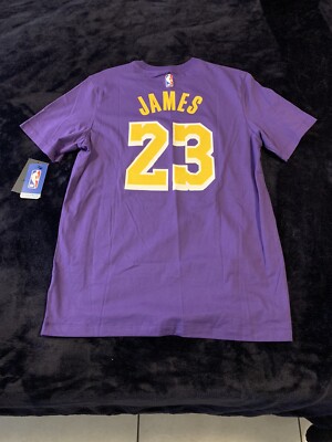 Nike Jordan Mens NBA Lakers Lebron James #23 Purple Tee Shirt Dry