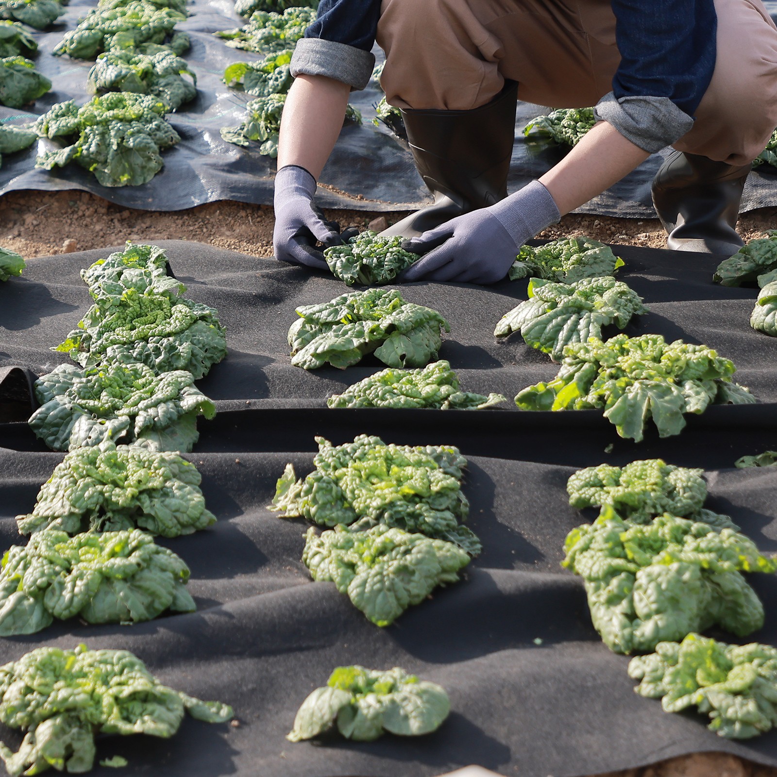 VEVOR Non-Woven Geotextile Fabric 3x100FT 4OZ Ground Cover Weed Control Fabric