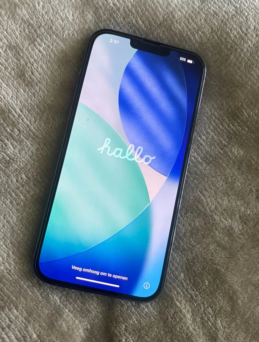 苹果iPhone 13 Pro Max 256gb | eBay