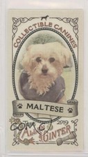 2019 Topps Allen & Ginter Collectable Canines Minis Maltese #CC-25 y8h