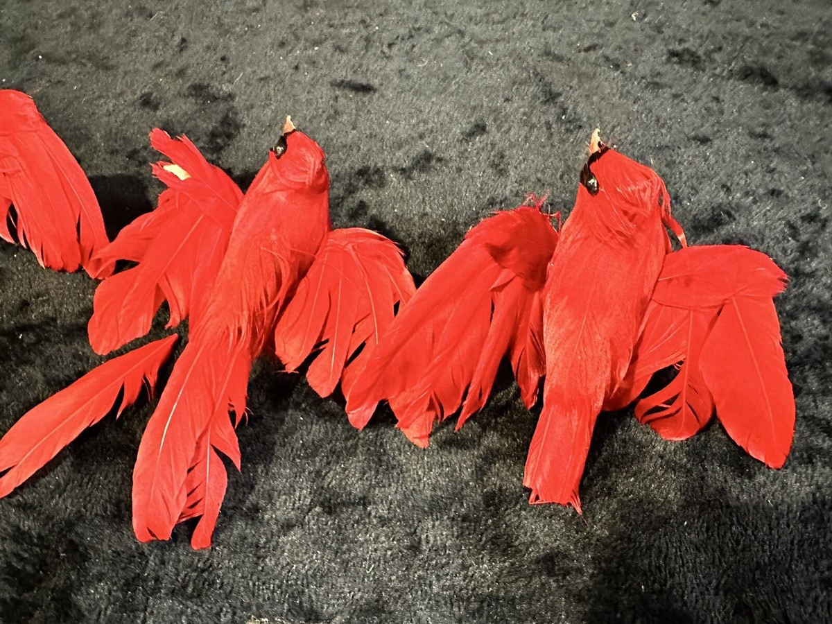 Vintage Set of 5 Cardinal Christmas Ornaments See Photos