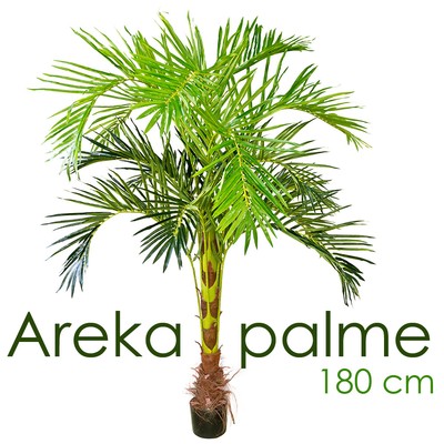 PALMIER ARECA ARTIFICIEL EXTÉRIEUR - Piscine Mirabel - professionnel en Piscine, spa, BBQ et foyer PALMIER ARECA ARTIFICIEL EXTÉRIEUR - Piscine Mirabel - professionnel en Piscine, spa, BBQ et foyer