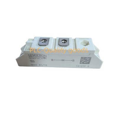 1PCS New SKKE81-16   SKKE81/16 SKKE8116 Power Supply Module   free ship *gb