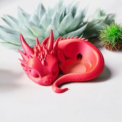 Halterung Alexa Echo Pop Drache