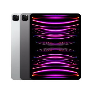 iPad Pro 6th Generation 512GB | eBay