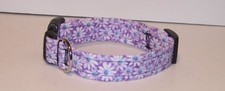 Wet Nose Designs Daisy Daisy Dog Collar Daisies Lilac Floral Flowers Purple 2