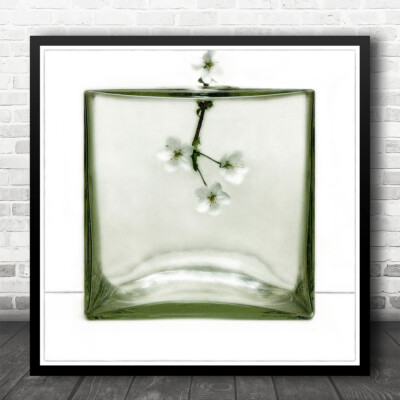 Stillleben Blume weiße Glocke transparent Vase eckig Wandkunstdruck